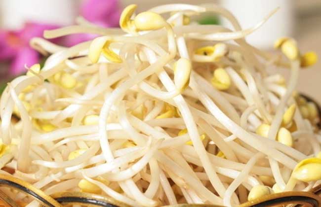 豆芽菜