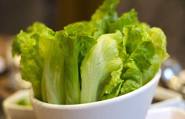生菜