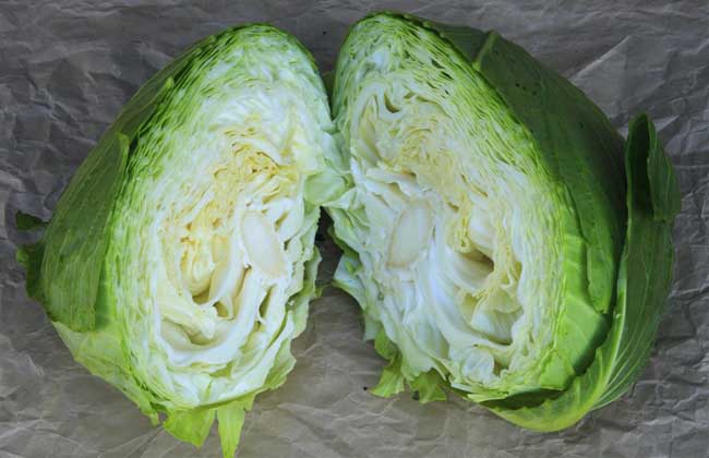 卷心菜