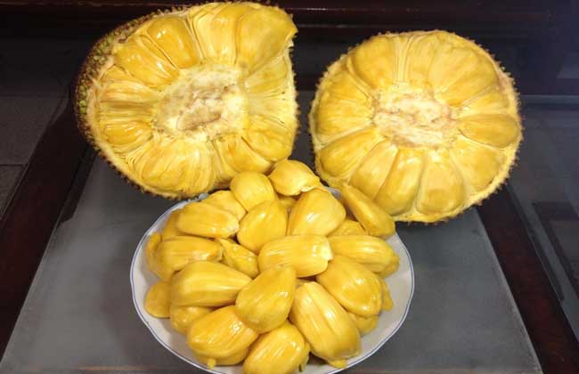 菠萝蜜多少钱一斤