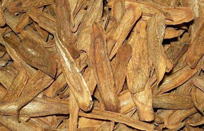 牛蒡茶多少钱一斤