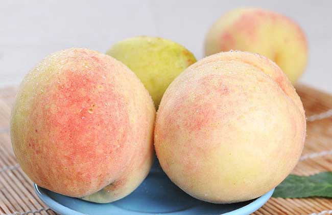 水蜜桃怎么保存才好？