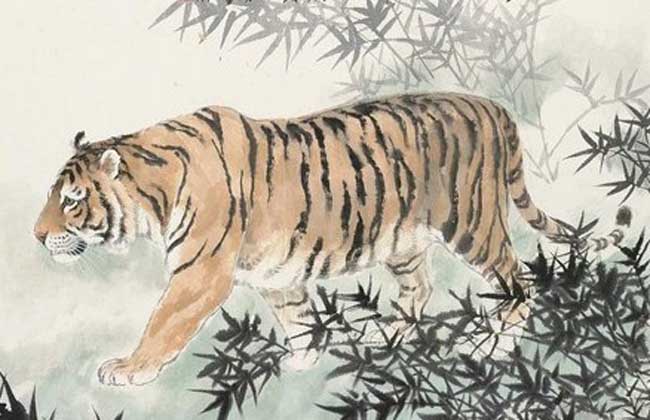 2017年属虎人的全年运势