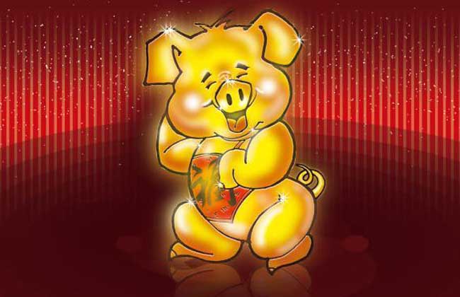 2017年属猪人的全年运势