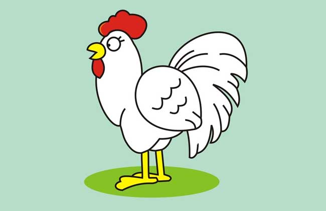 2017年属鸡人的全年运势