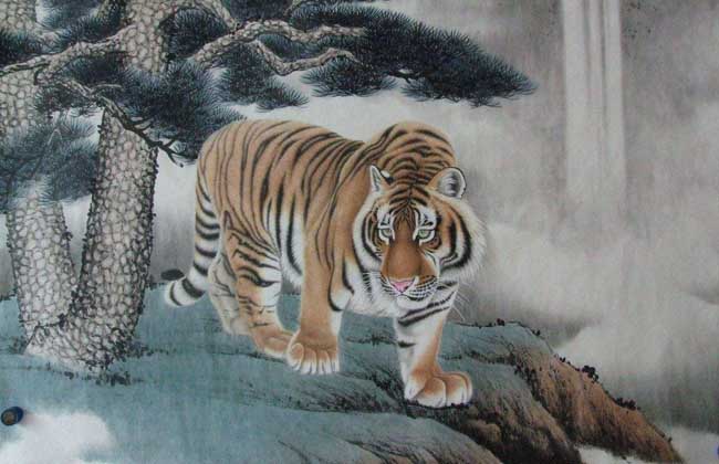 属虎人的性格