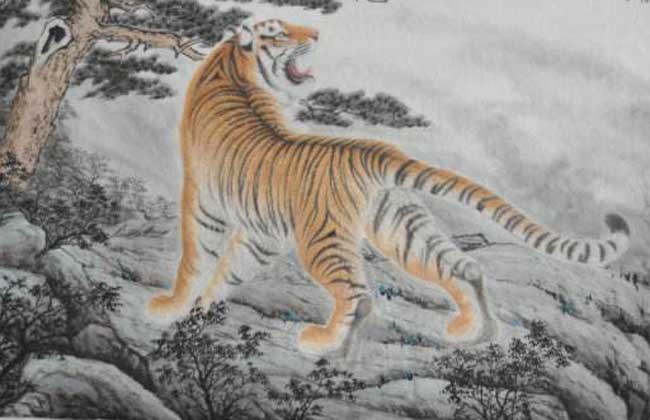 属虎人的性格