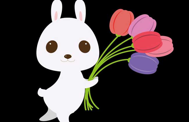 属兔的今年多大