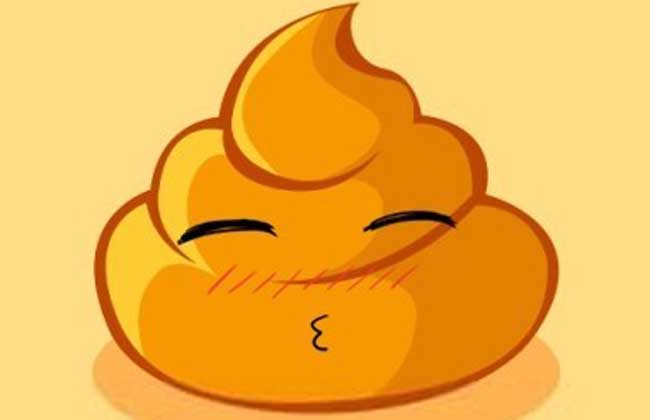 梦见大便