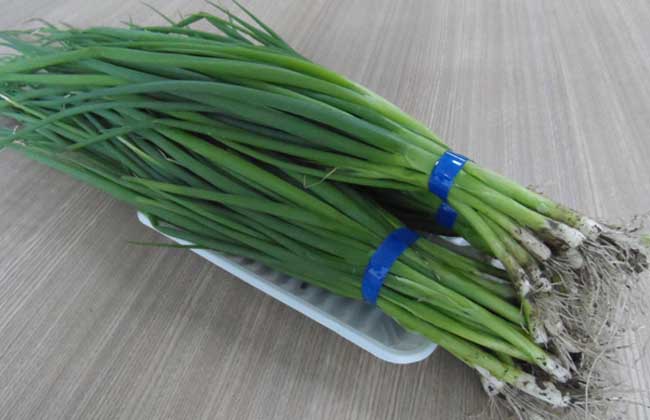 小葱的功效与作用