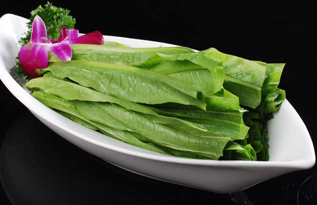 孕妇可以吃油麦菜吗？