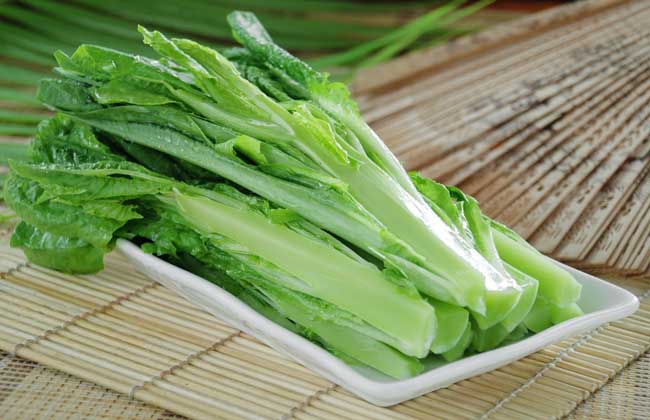 油麦菜不能和什么一起吃
