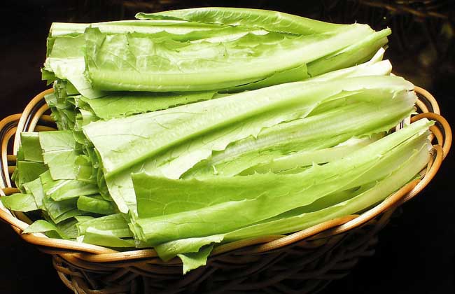 油麦菜不能和什么一起吃