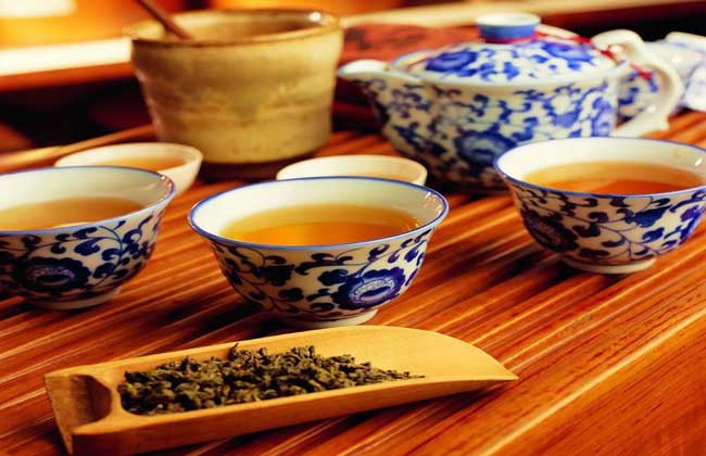 苦丁茶