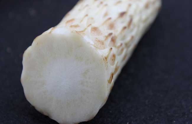 肉苁蓉价格