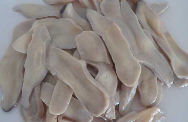 白灵菇和杏鲍菇的区别