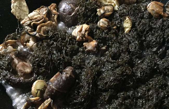 发菜和海发菜的区别