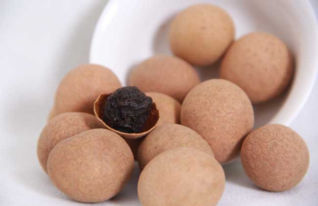 桂圆