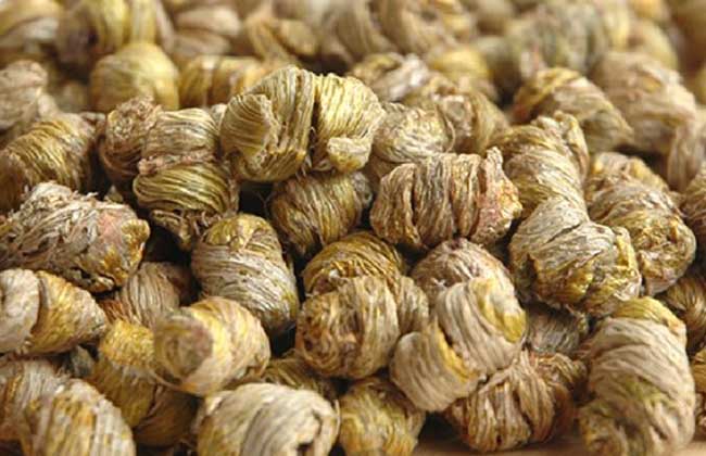 枫斗和石斛的区别