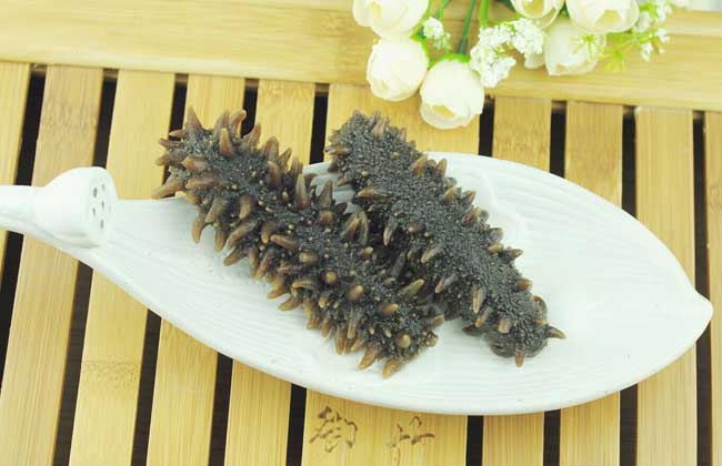 干海参多少钱一斤