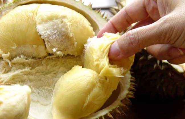 榴莲为什么那么贵