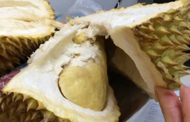 榴莲为什么那么贵