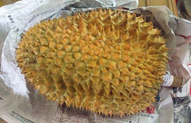 榴莲没熟打开后怎么办