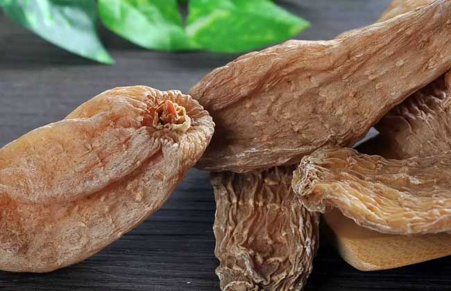天麻的功效与作用