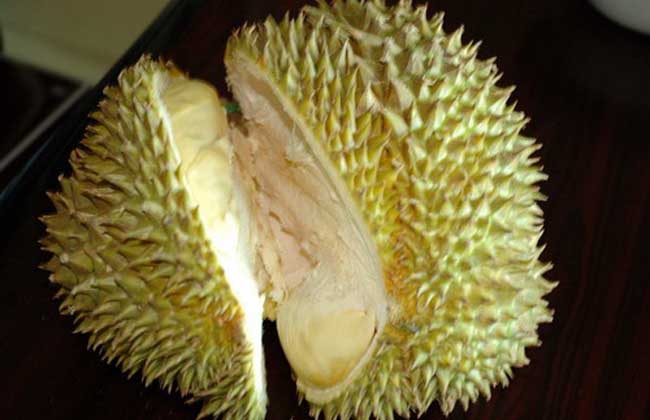 一个榴莲大概多少钱？