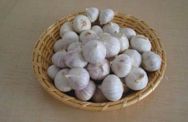 大蒜的功效与作用