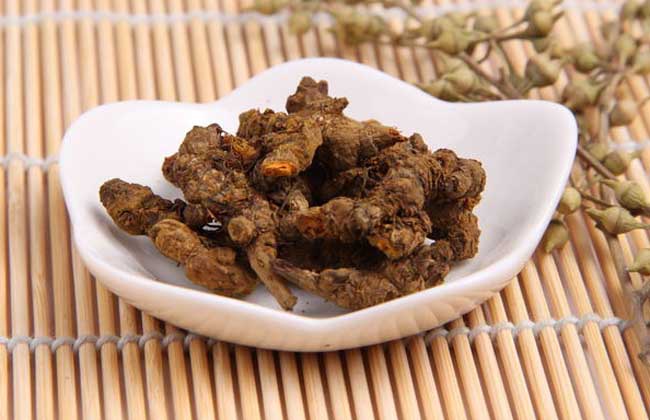 黄连价格
