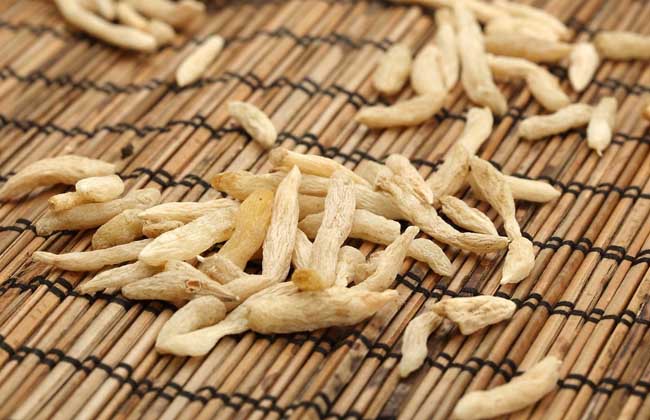 麦冬和什么一起泡最好？