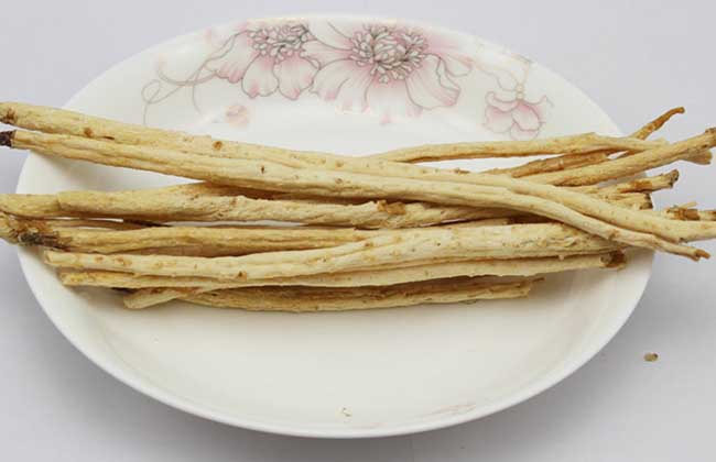 沙参的功效与作用