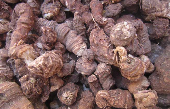 七叶一枝花价格多少钱一斤？