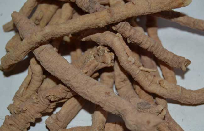 远志的功效与作用