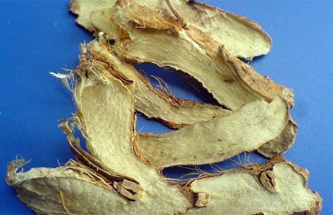 知母的功效与作用