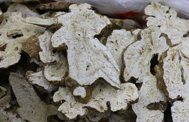 白术的功效与作用