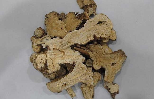 白术的功效与作用