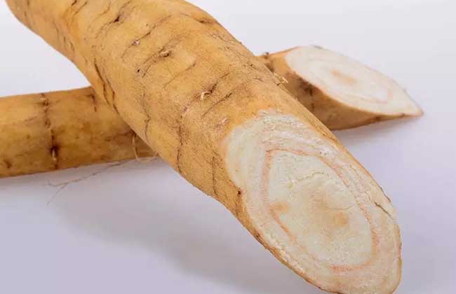 葛根