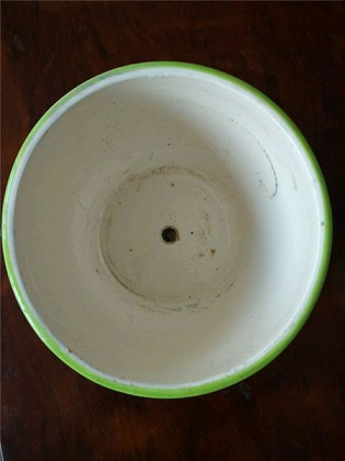 Q5