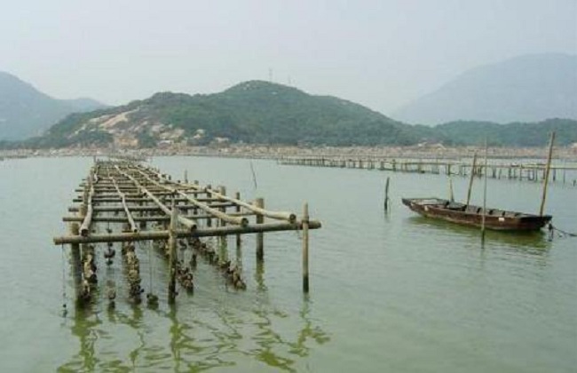 鲍鱼沉箱