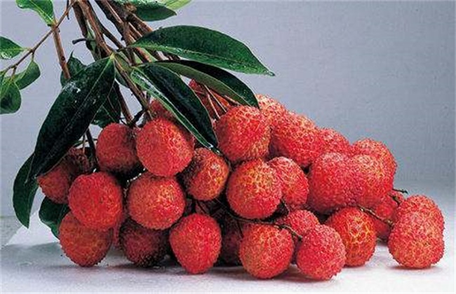 荔枝 裂果 方法