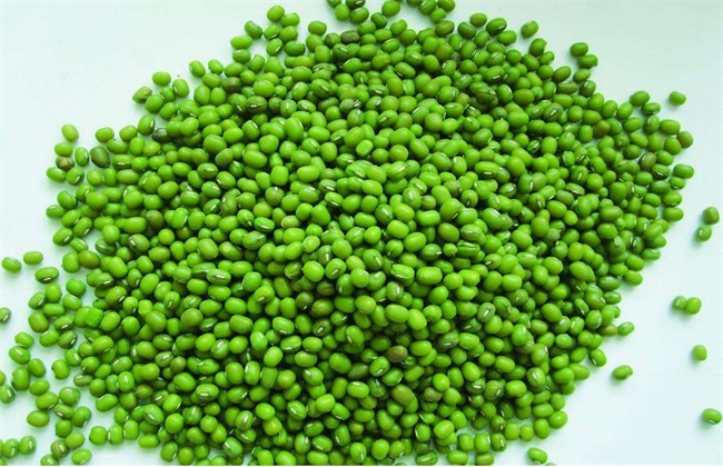 2018种植绿豆赚钱吗