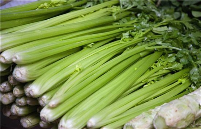 芹菜 方法 死苗