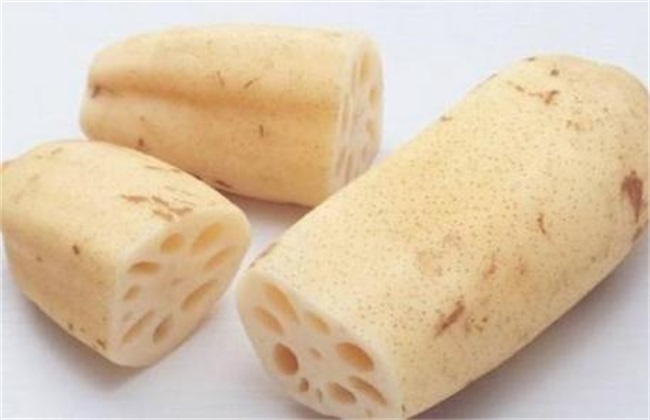 莲藕 环境 种植