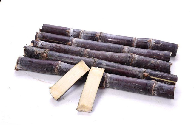 甘蔗 要点 管理