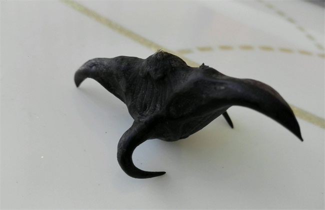菱角 常见病虫害 防治方法