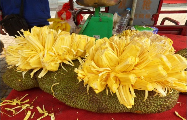 常见病害 菠萝蜜 防治方法