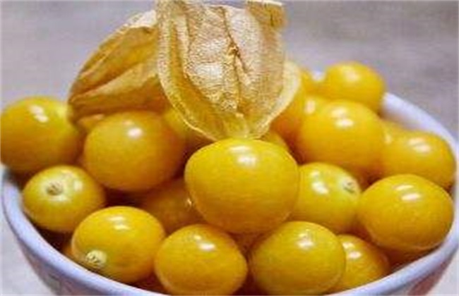 姑娘果 种植 方法