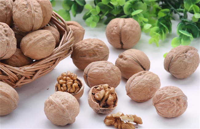 核桃树 管理要点 种植